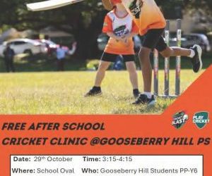 Free After School Cricket