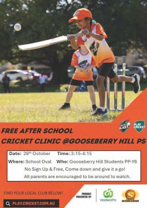 Free After School Cricket