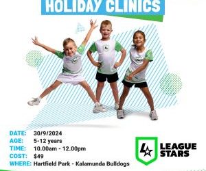 League Stars – Holiday Clinics