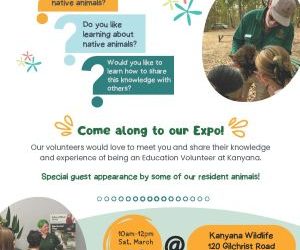 Kanyana Education Volunteer Expo