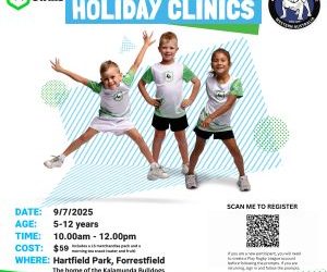 League Stars – Holiday Clinics
